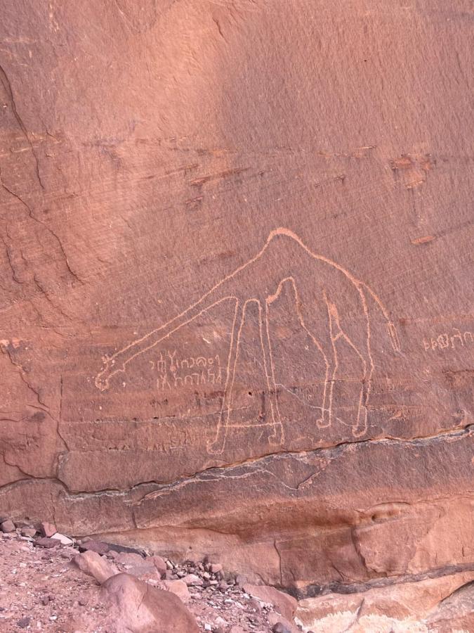 Raja Camp Hotell Wadi Rum Eksteriør bilde